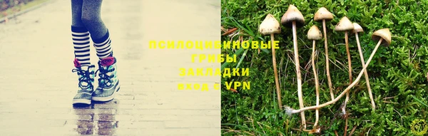 бошки Елизово