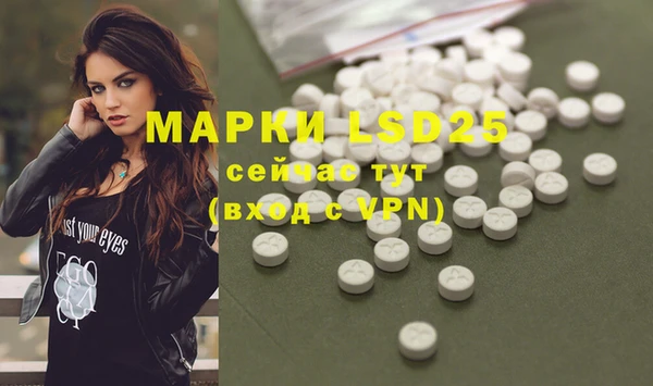 PSILOCYBIN Заводоуковск