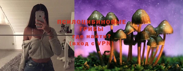 герыч Ельня